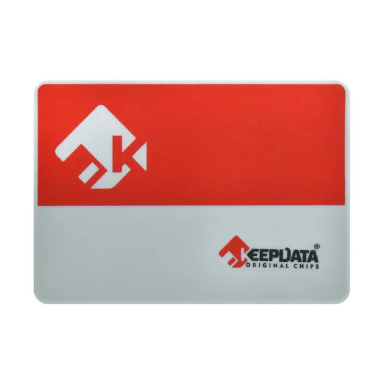 SSD Keepdata KDS256G-L21 - 256GB - 550 MB/s - SATA