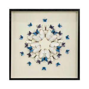 Quadro Decorativo Concepts 437-0211203 60 X 60 CM