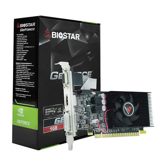 Placa de Vídeo 1GB Exp GF-G210 Biostar LP DDR3
