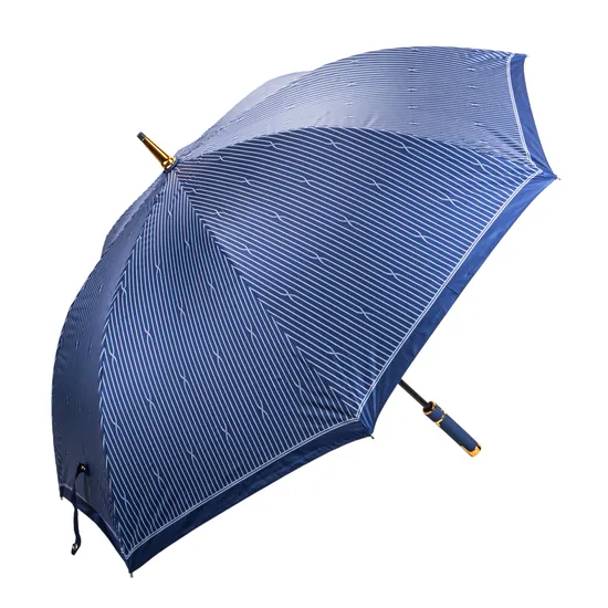 Guarda-Chuva Azul