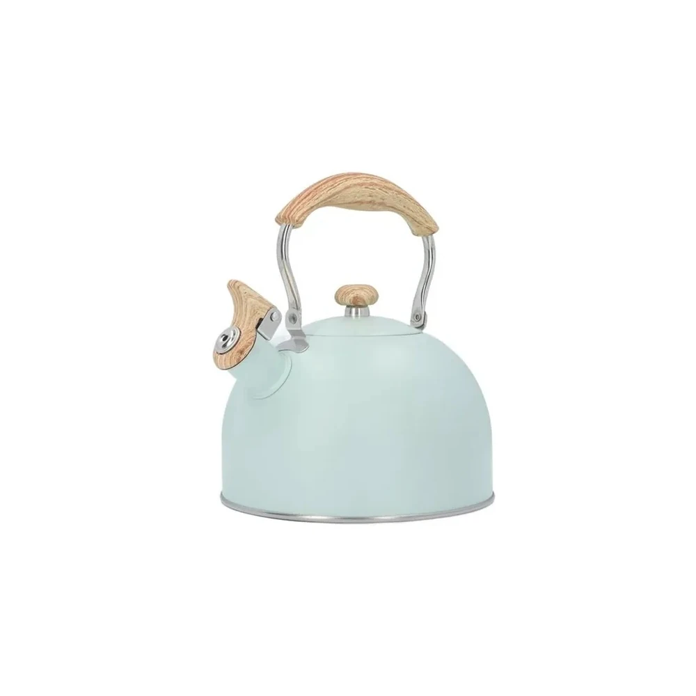 chaleira-de-2-5-litros-inox-turquesa_caa271789VN